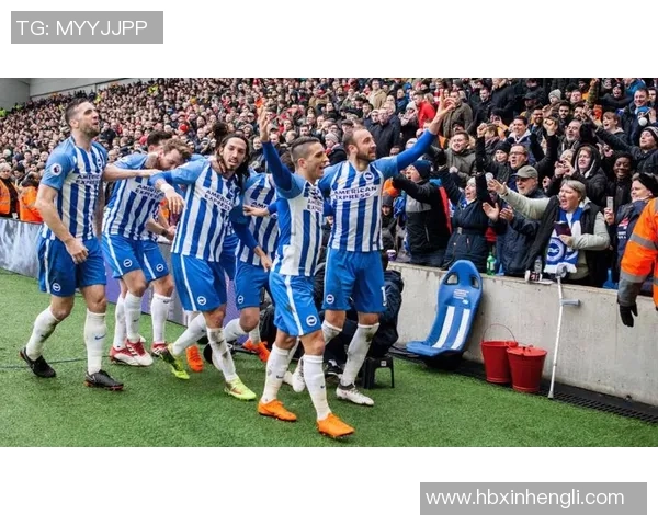 南安普顿与布莱顿激战正酣比赛结果揭晓引发热议