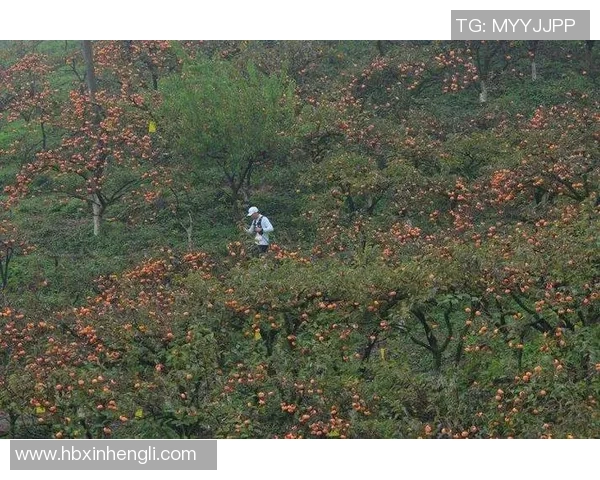 2025重庆垫江明月山越野赛热情开赛！